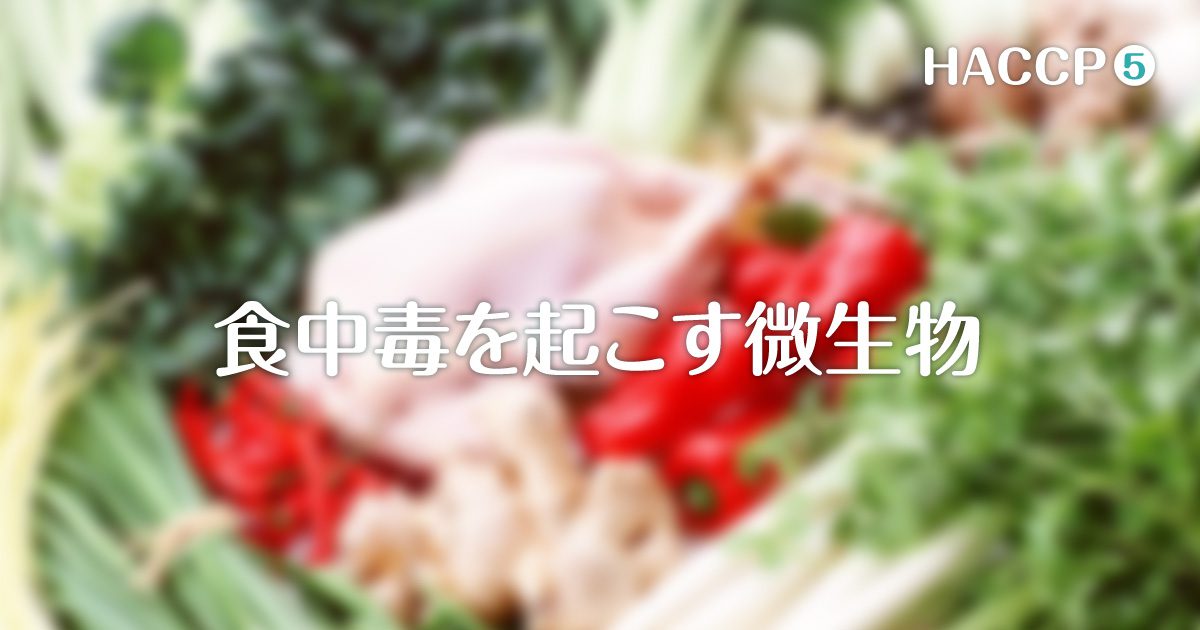 食中毒を起こす微生物